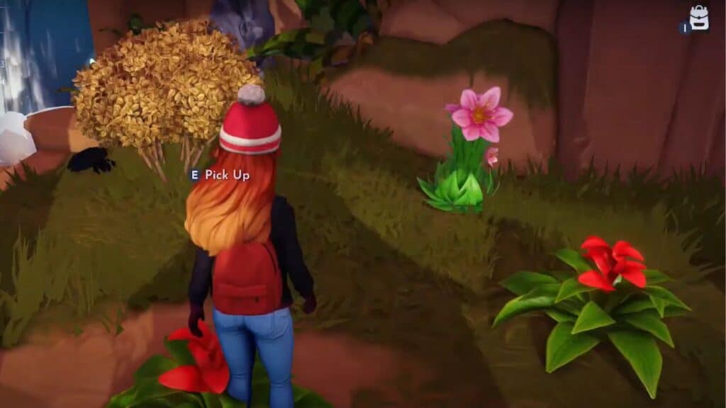 How to find Red Bromeliad in Disney Dreamlight Valley Dreamlight Valley Red Bromeliad