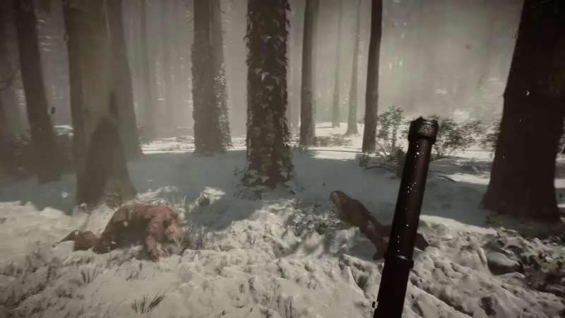Snow in Sons of the Forest