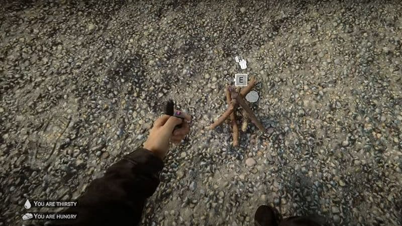 Sons of the Forest: How to Cook Food