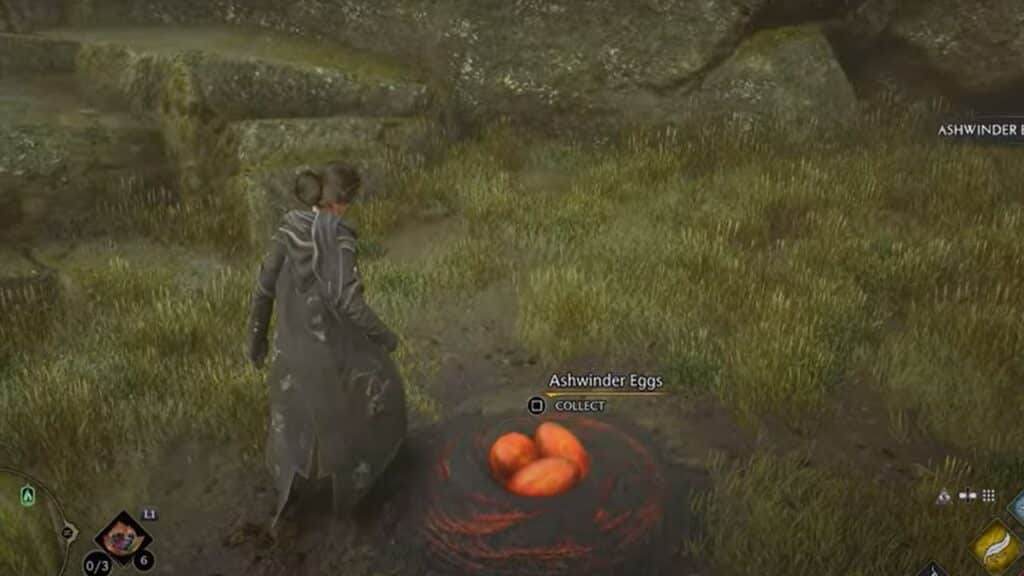 How To Get Ashwinder Eggs in Hogwarts Legacy Where to Get Ashwinder Eggs in Hogwarts Legacy