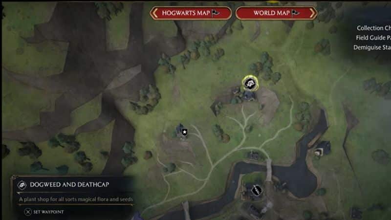 Dogweed and Deathcap in Hogwarts Legacy