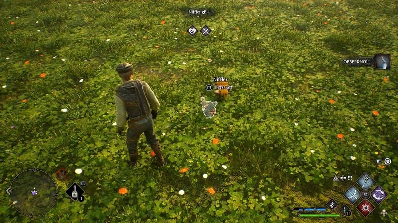 how to catch shiny beasts in hogwarts legacy