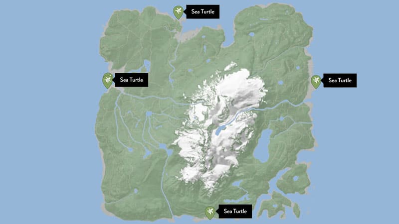 How to Get and Use Turtle Shell in Sons of the Forest