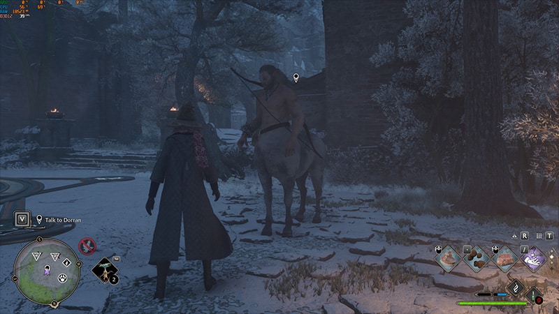 Hogwarts Legacy: How to Complete a Bird in the Hand