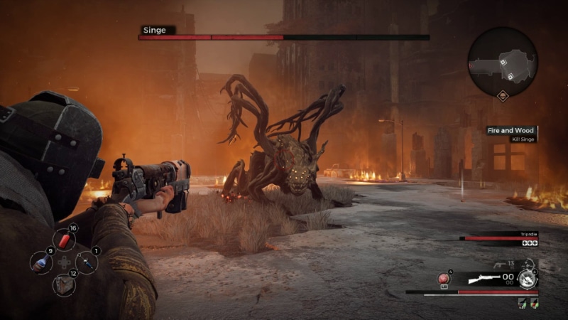 Remnant From the Ashes crossplay