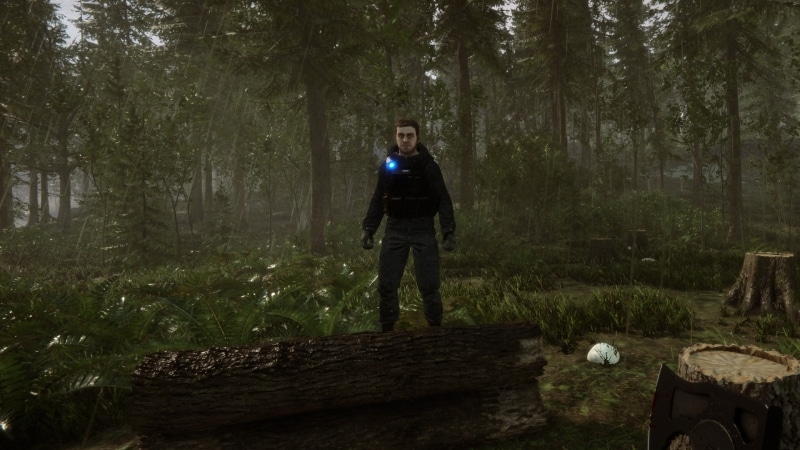 Sons of the Forest (Patch 3) April 6th Update Patch Notes