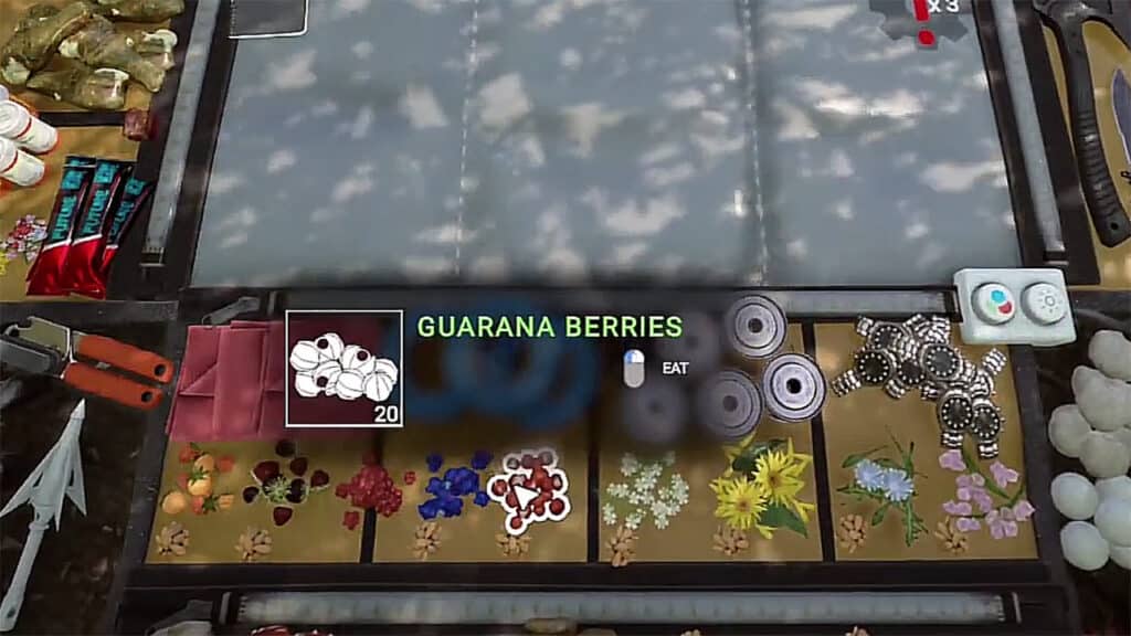 Where to Find Guarana Berries in Sons of the Forest Where-to-Find-Guarana-Berries-in-Sons-of-the-Forest