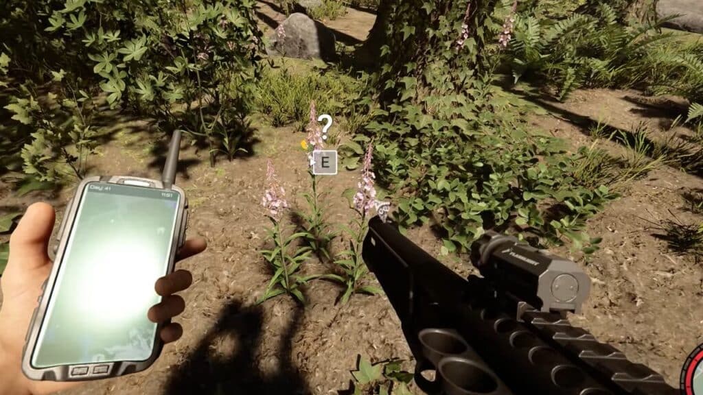 Where to Find Fireweed in Sons of the Forest where-to-find-fireweed-in-sons-of-the-forest