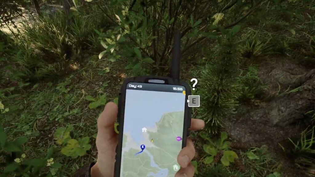 Where to Find Horsetail in Sons of the Forest where-to-find-horsetail-in-sons-of-the-forest