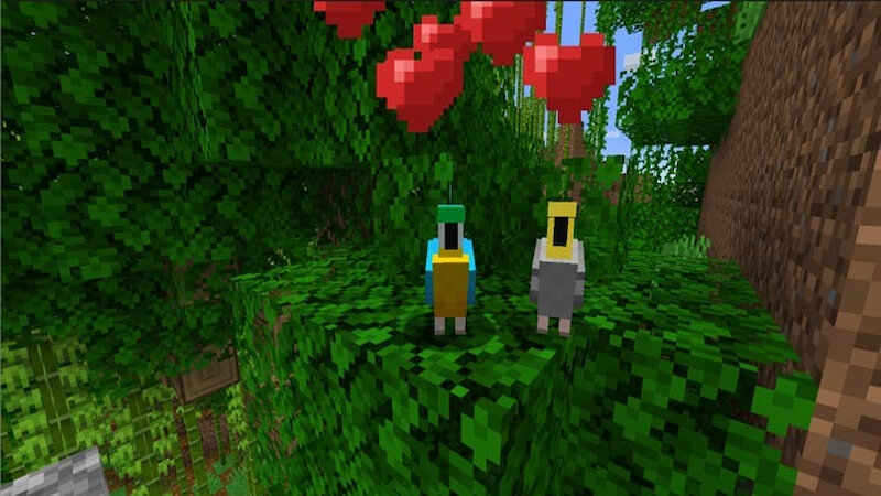 tame parrots in minecraft