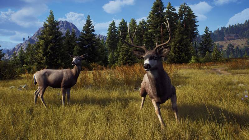 Way Of The Hunter Update 1.22 Patch Notes
