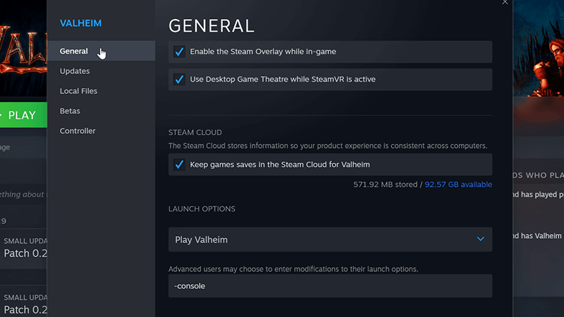 Enable Console Commands or Cheats in Valheim