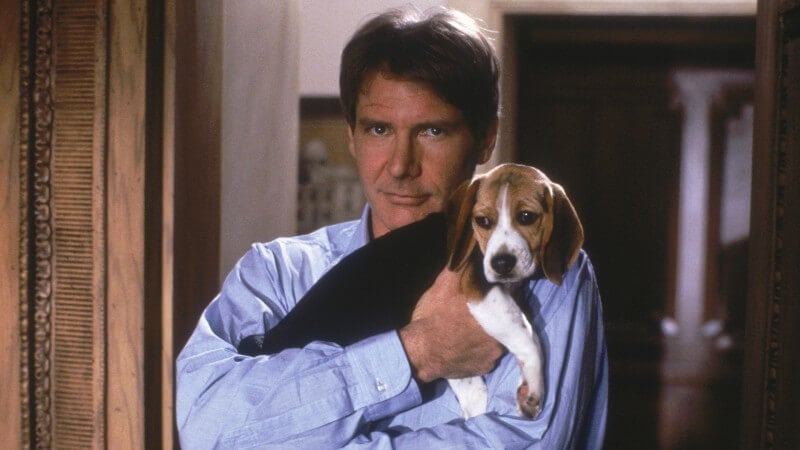 One of the most touching Harrison Ford movie roles is Regarding Henry