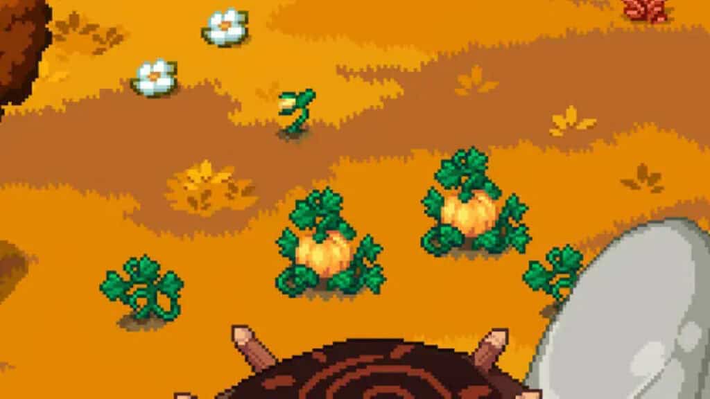 Pumpkins and other crops grown from fall seeds in Roots of Pacha