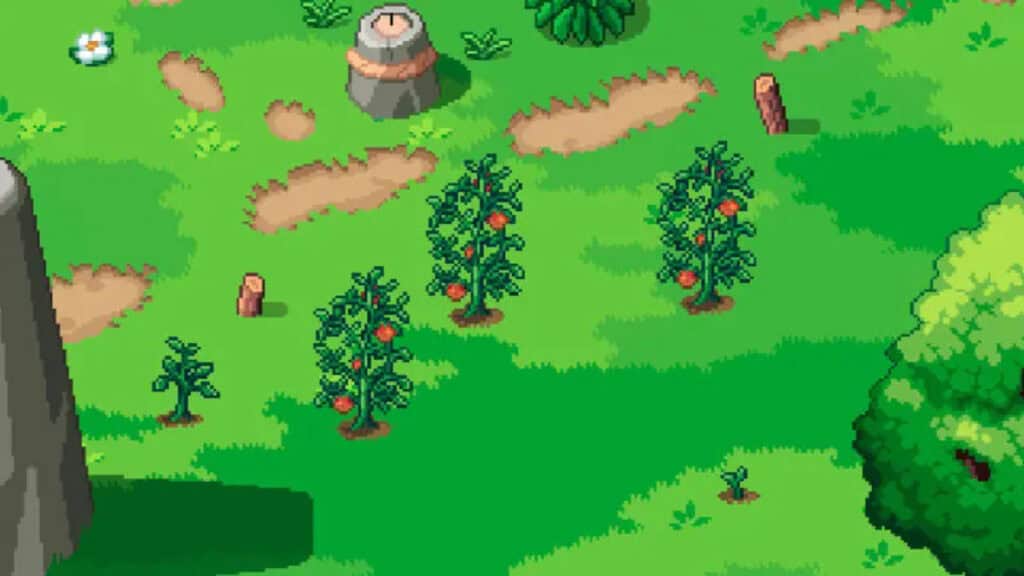 Summer crops grow in Roots of Pacha