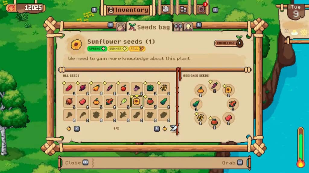 All Seeds in Roots of Pacha and How to Grow Them Sunflower Seeds in Roots of Pacha