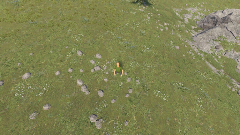 Can You Play Rust Offline? | The Nerd Stash