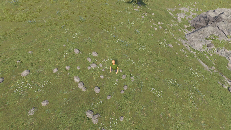 Can you play Rust offline article image