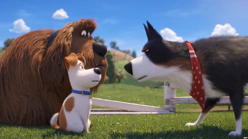 Screenshot from Secret Life of Pets 2