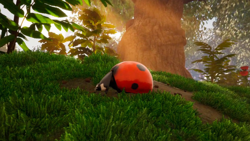 How to Tame the Ladybug in Smalland: Survive the Wilds