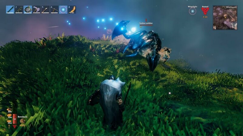 seeker soldier valheim