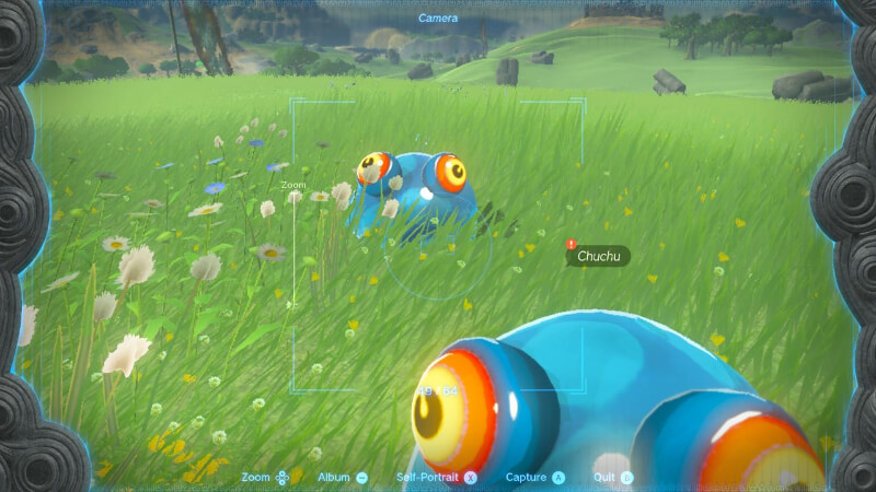 Chuchu Photograph Tears of the Kingdom