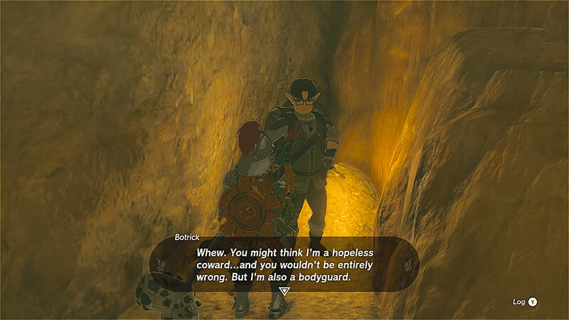 Disaster in Gerudo Canyon Walkthrough