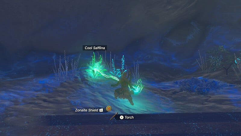 How to unlock Fuse in Zelda: Tears of the Kingdom