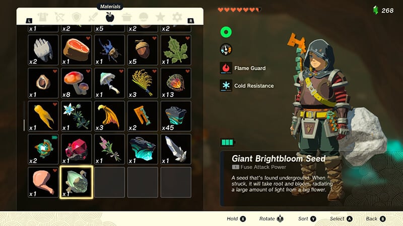 Giant Brightbloom Seeds in Zelda Tears of the Kingdom