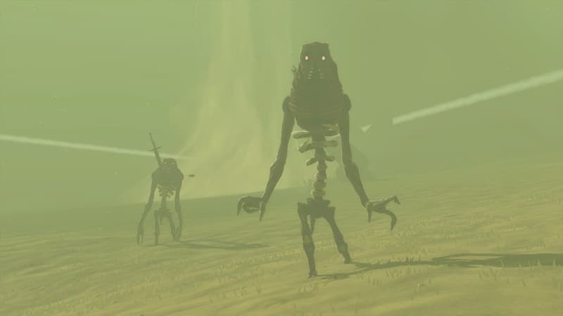 Gibdo Bones Tears of the Kingdom Gibdos