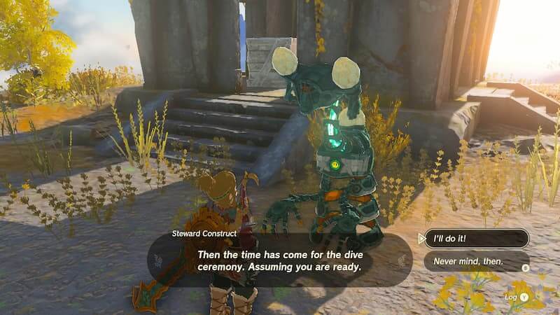 Glide Tights Tears of the Kingdom Construct