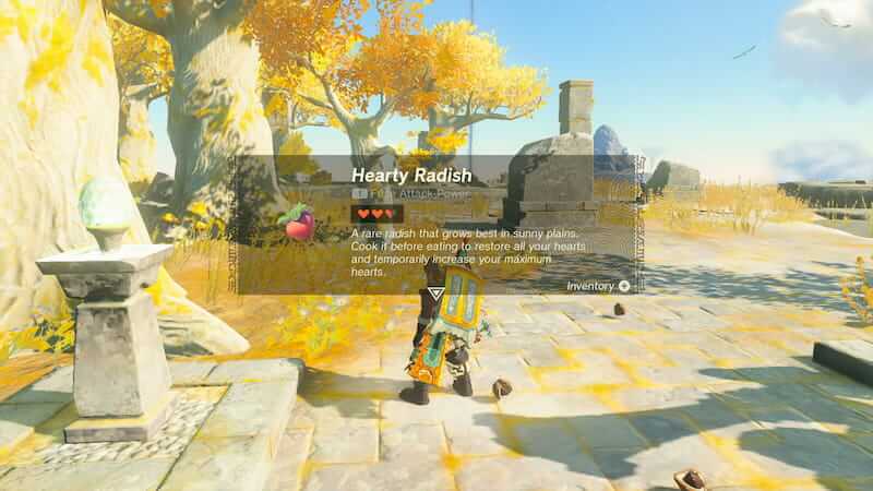 Hearty Radishes Benefits Recipes Meals Cook Tears of the Kingdom