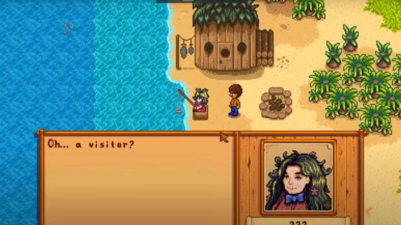 How To Complete the Pirate’s Wife in Stardew Valley