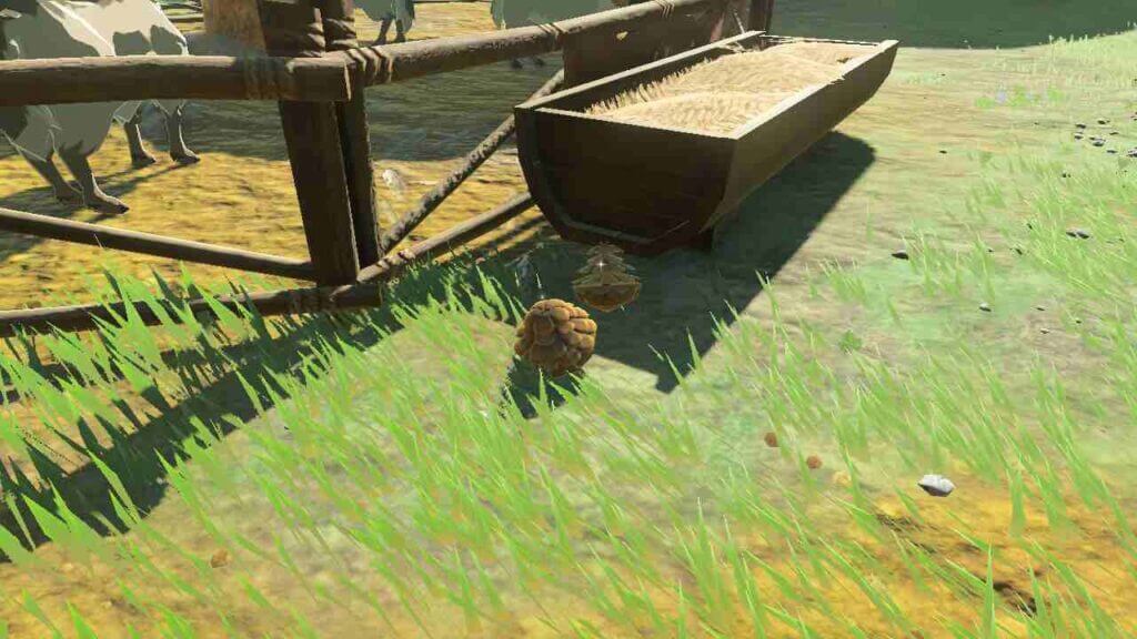 How To Get Hylian Pine Cones in Zelda Tears of the Kingdom How To Get Hylian Pine Cones in Zelda Tears of the Kingdom