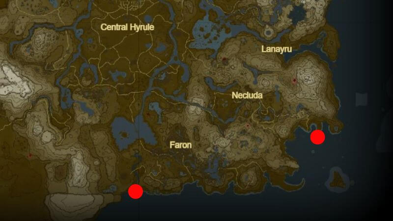 Tears of the Kingdom Mighty Porgys