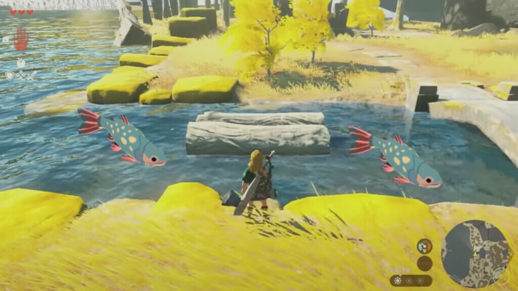 How To Get Stealthfin Trout in Zelda Tears of the Kingdom Where To Find Stealthfin Trout in Zelda Tears of the Kingdom