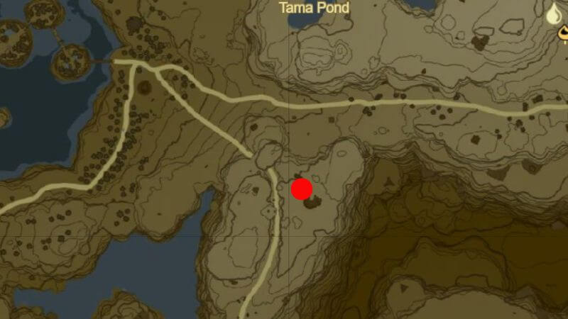 Tears of the Kingdom Frostbite Shirt