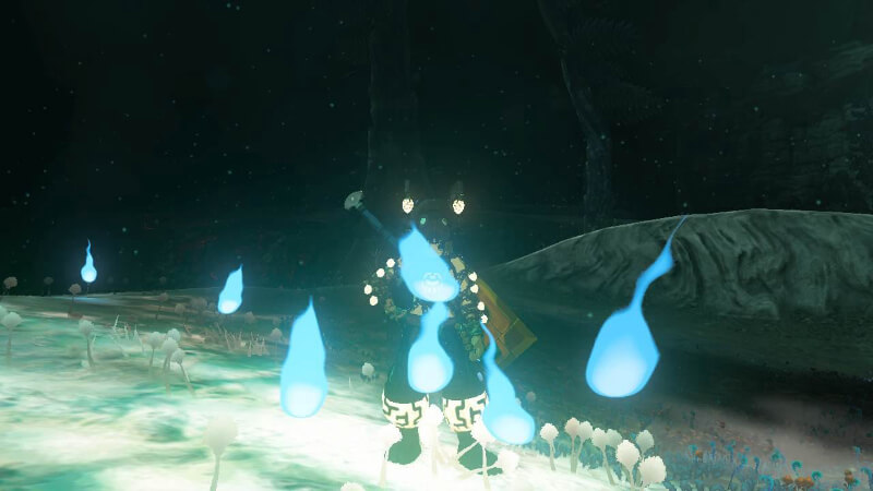 Poes in Tears of the Kingdom