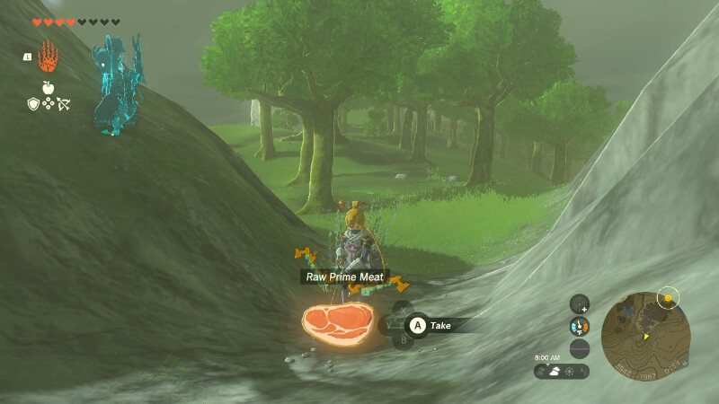 Raw Meat Tears of the Kingdom2