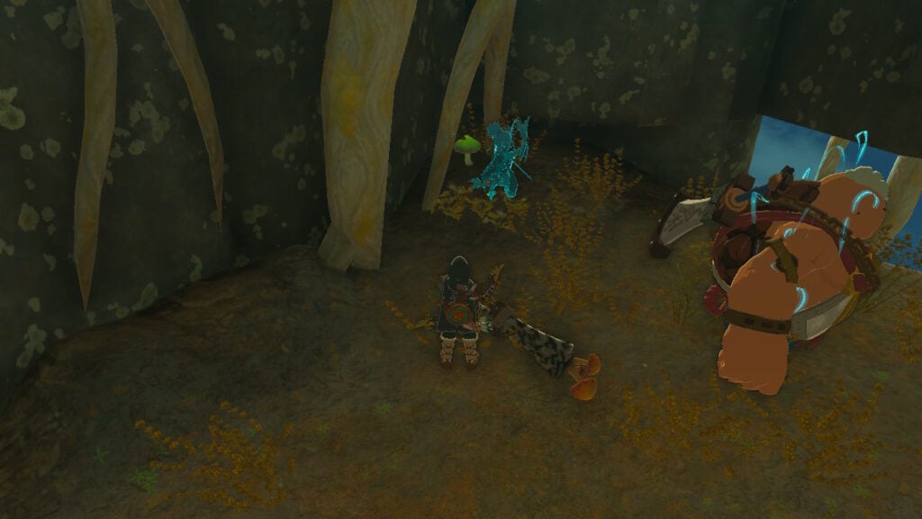 How To Get Stamella Shrooms in Zelda Tears of the Kingdom
