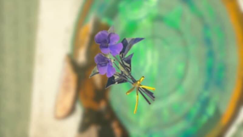 Tears of the Kingdom, Swift Violet Flowers