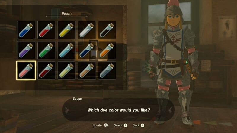 Zelda Tears of the Kingdom Customize Clothes