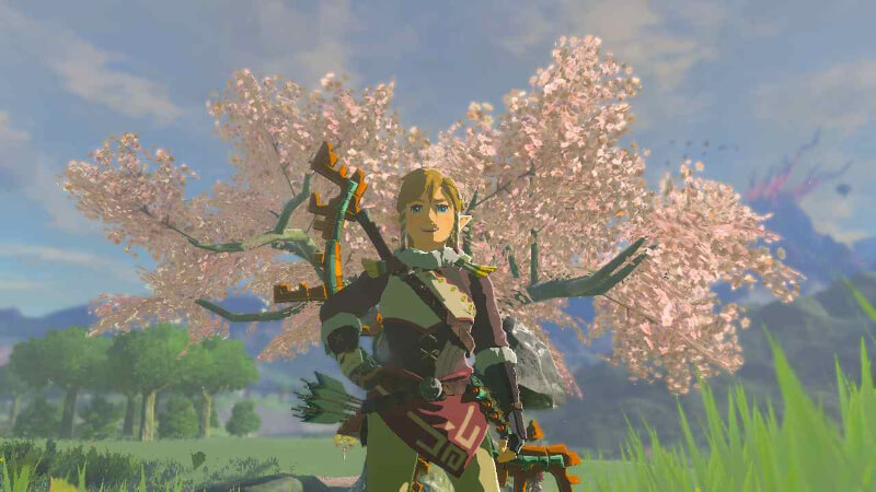 Tears of the Kingdom How To Complete Amber Dealer