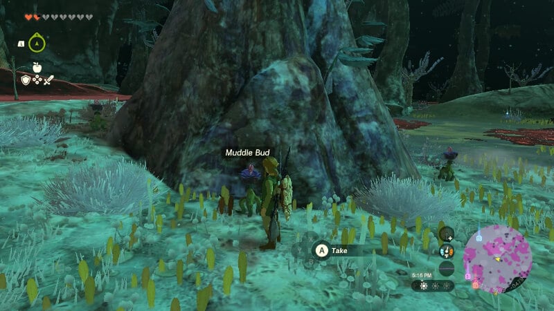 Tears of the Kingdom How To Get and Use Muddle Buds