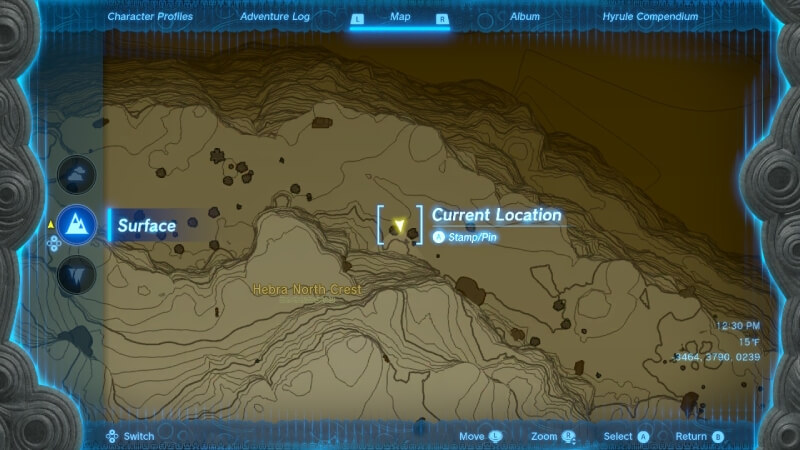 Zelda Tears of the Kingdom Hylian Pine Cones