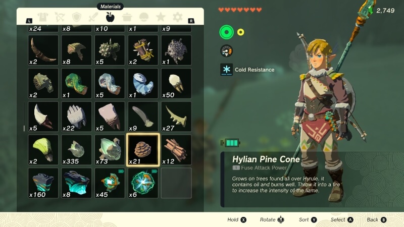 Zelda Tears of the Kingdom Hylian how to get Pine Cones
