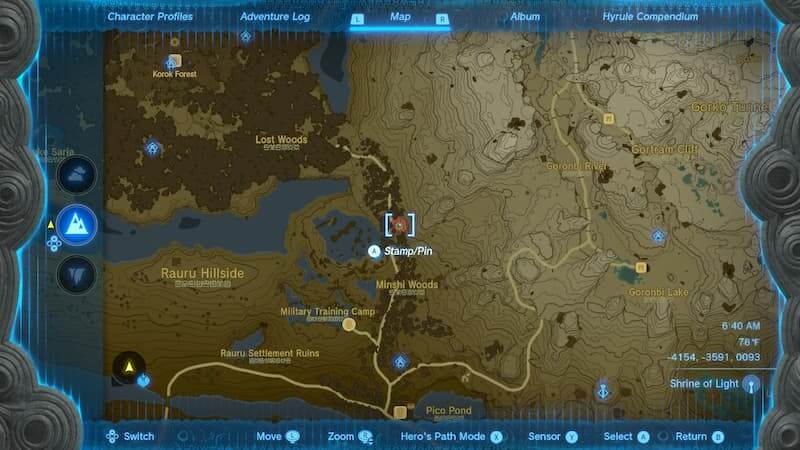 Tears of the Kingdom Lost Woods Chasm