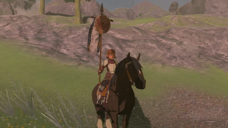 Tears of the Kingdom Pony Points and how to get them