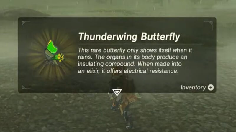 Thunderwing Butterfly Zelda Totk