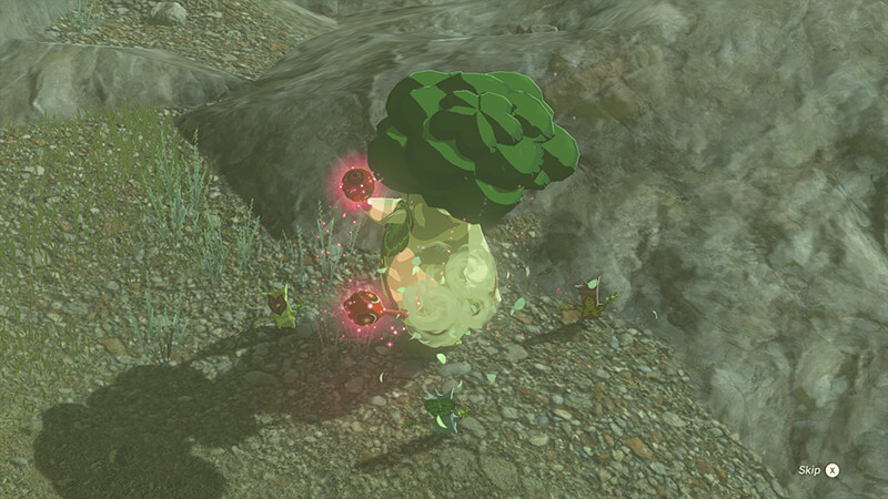 Where-To-Find-Hestu-in-Tears-of-the-Kingdom